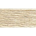 Dmc 6-Strand Embroidery Cotton 8.7yd-Light Beige Grey 117-822